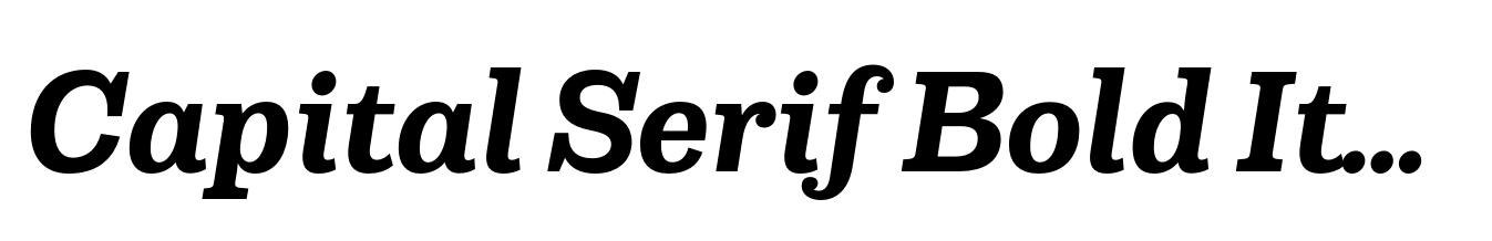 Capital Serif Bold Italic